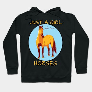 Just A Girl Who Loves Horses Hoodie